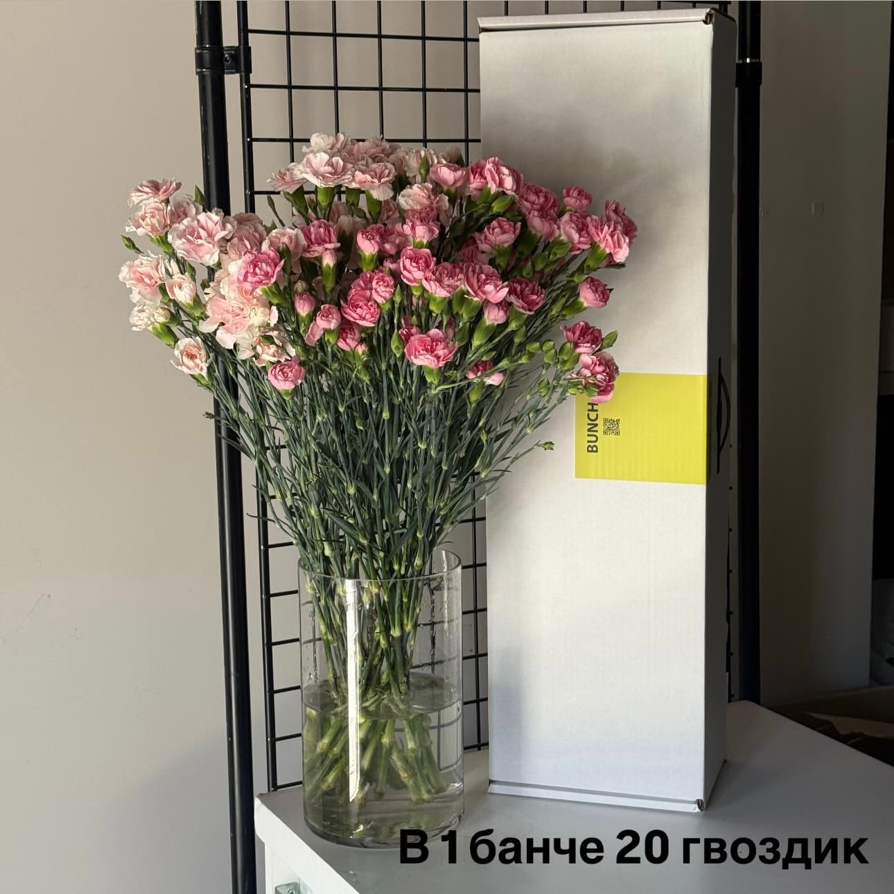 Микс розовых кустовых гвоздик, 20 стеблей — купить с доставкой